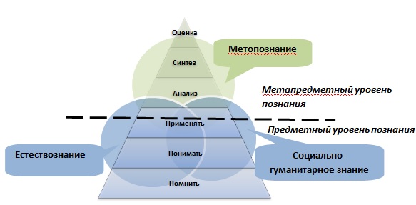 elkina.jpg